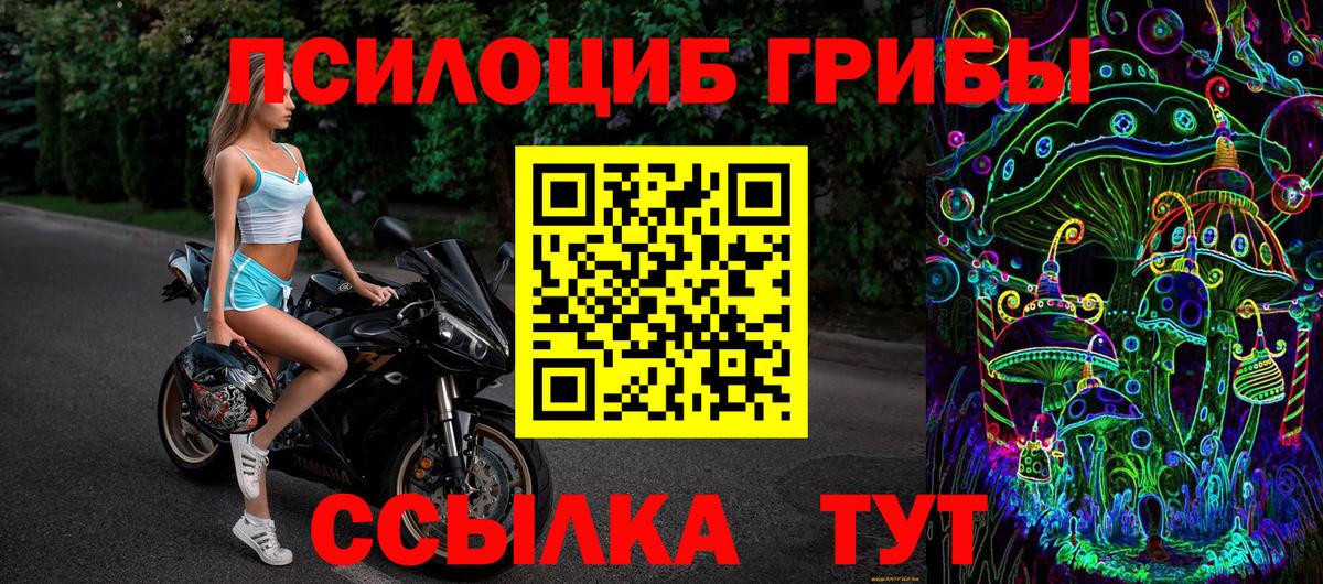 Псилоцибиновые грибы мицелий Ухта
